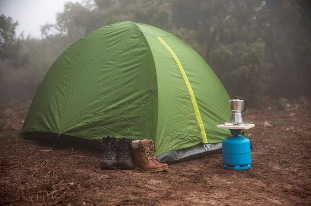 场景图-green-tent-set-up-forest-2